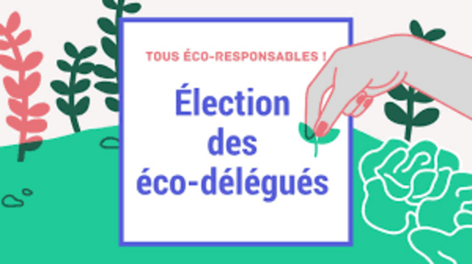 eco.png