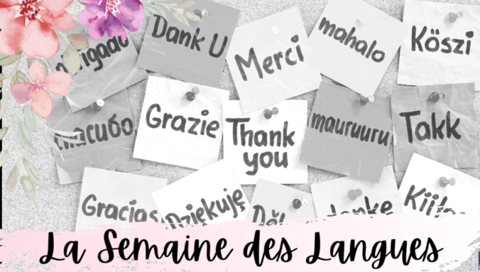 Capture d'écran 2026-03-12 105211.png